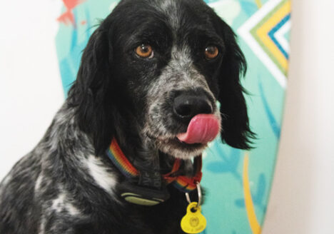 Huracan estudio de diseño gráfico y animación en Zaragoza, Madrid, Valencia y Barcelona